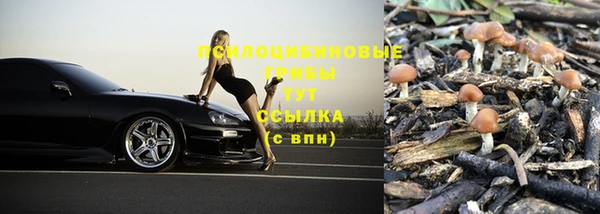 2c-b Заволжье